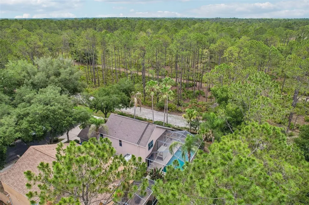 17702 Long Ridge Road Tampa FL 33647