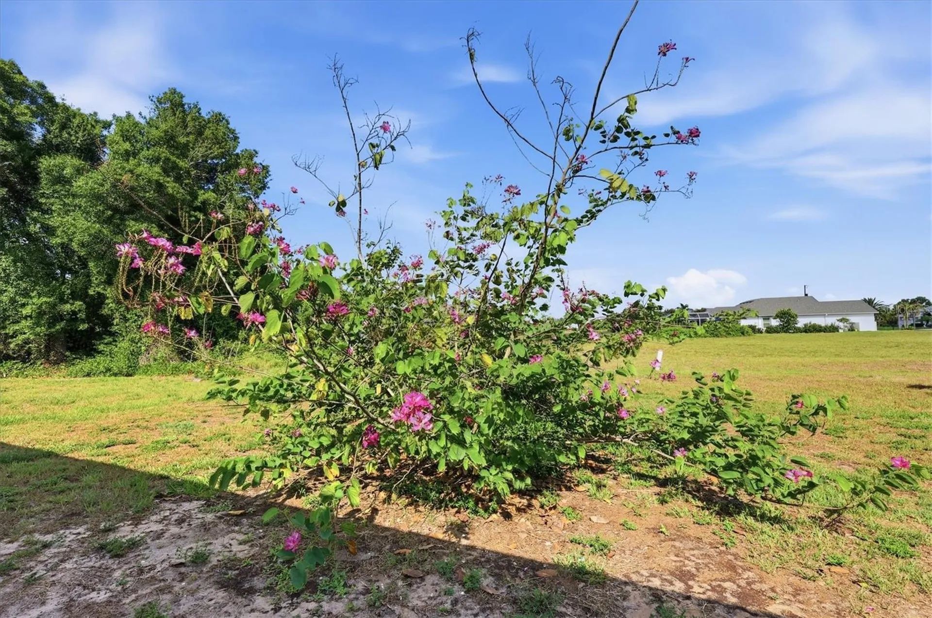 258 Rio De Janeiro Avenue Punta Gorda FL 33983
