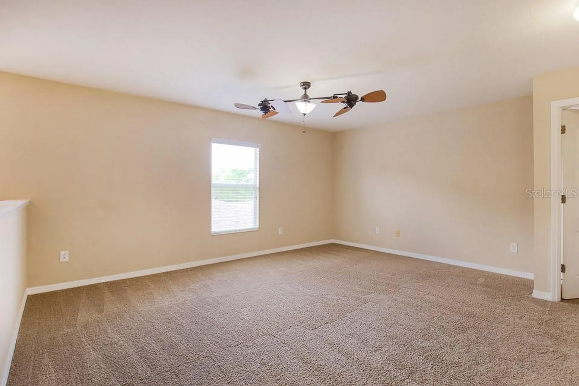4615 Watson Woods Way Riverview FL 33578