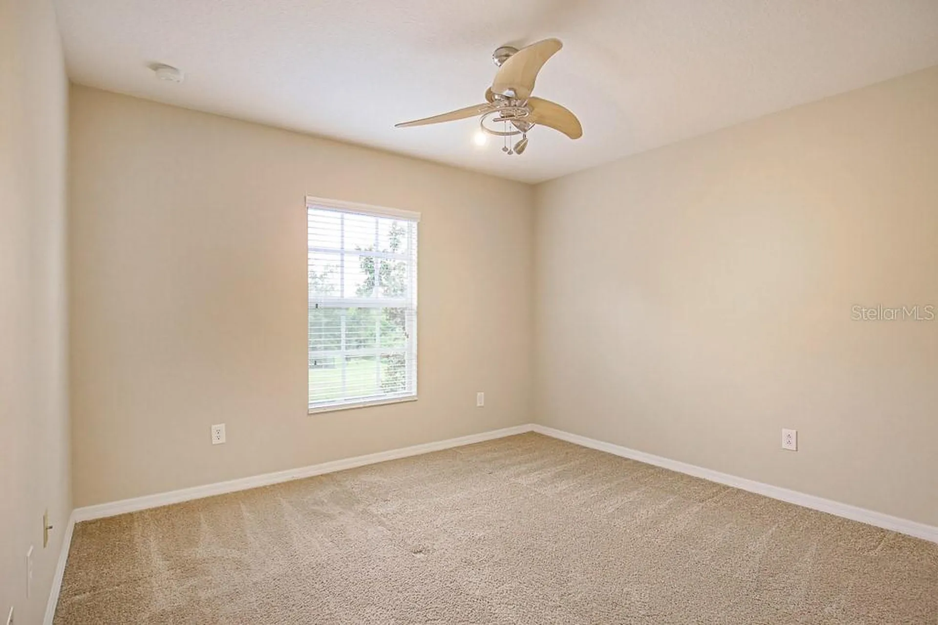 4615 Watson Woods Way Riverview FL 33578