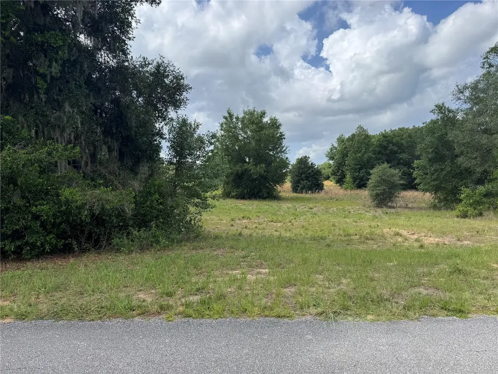 Tbd Keene Road Altoona FL 32702