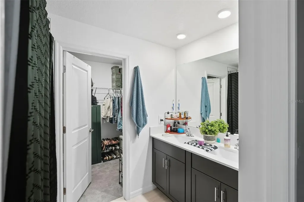 22289 Nebula Way Land O Lakes FL 34637