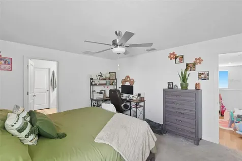 22289 Nebula Way Land O Lakes FL 34637
