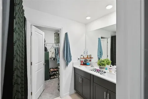 22289 Nebula Way Land O Lakes FL 34637