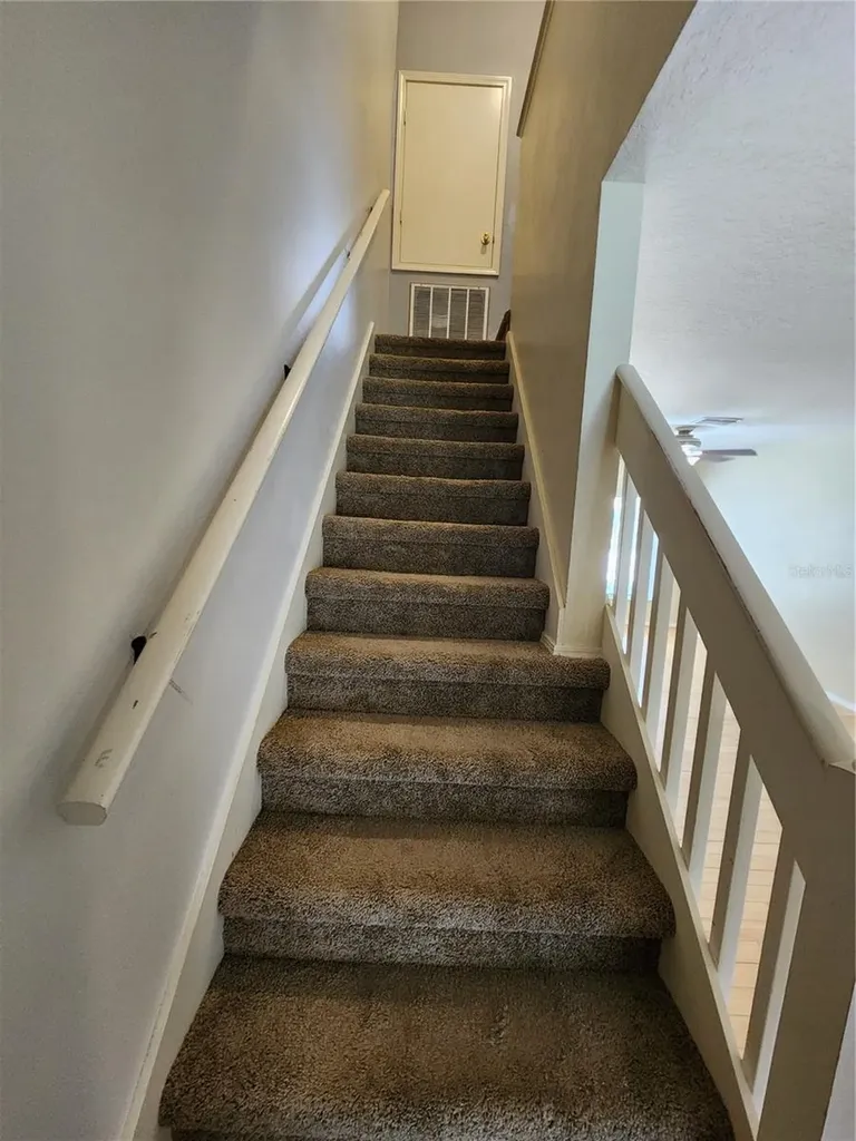 1317 Throckmorton Drive Wesley Chapel FL 33543