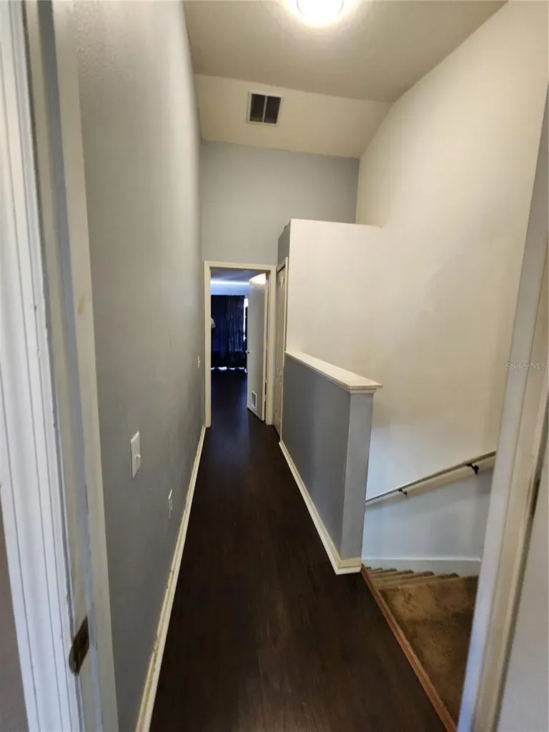 1317 Throckmorton Drive Wesley Chapel FL 33543