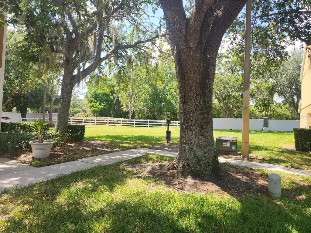 1317 Throckmorton Drive Wesley Chapel FL 33543