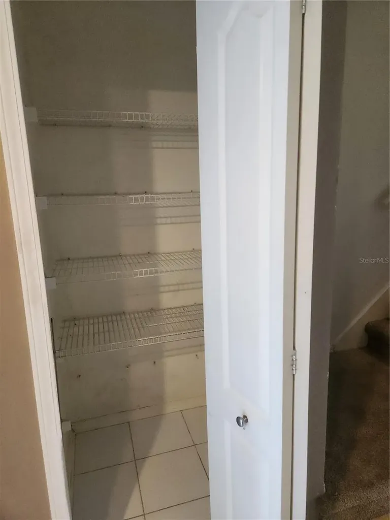 1317 Throckmorton Drive Wesley Chapel FL 33543