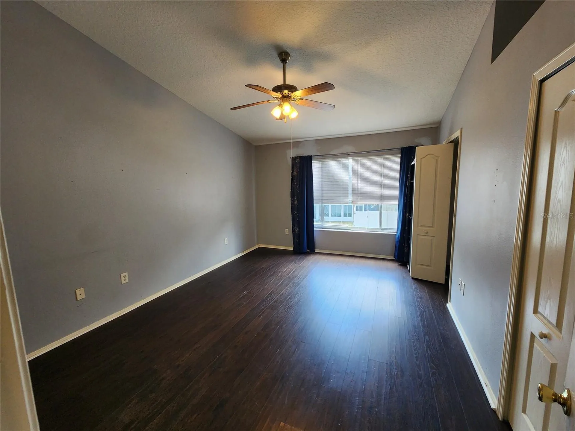 1317 Throckmorton Drive Wesley Chapel FL 33543