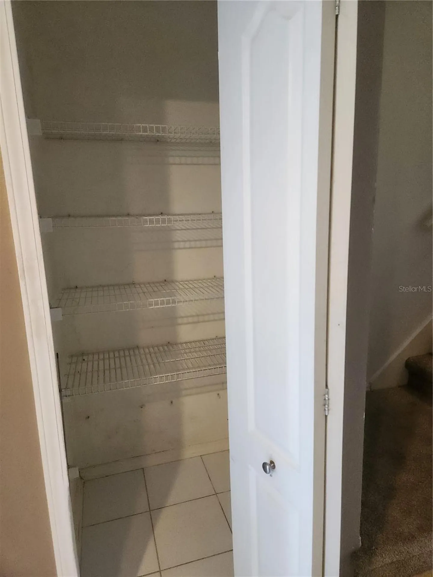 1317 Throckmorton Drive Wesley Chapel FL 33543