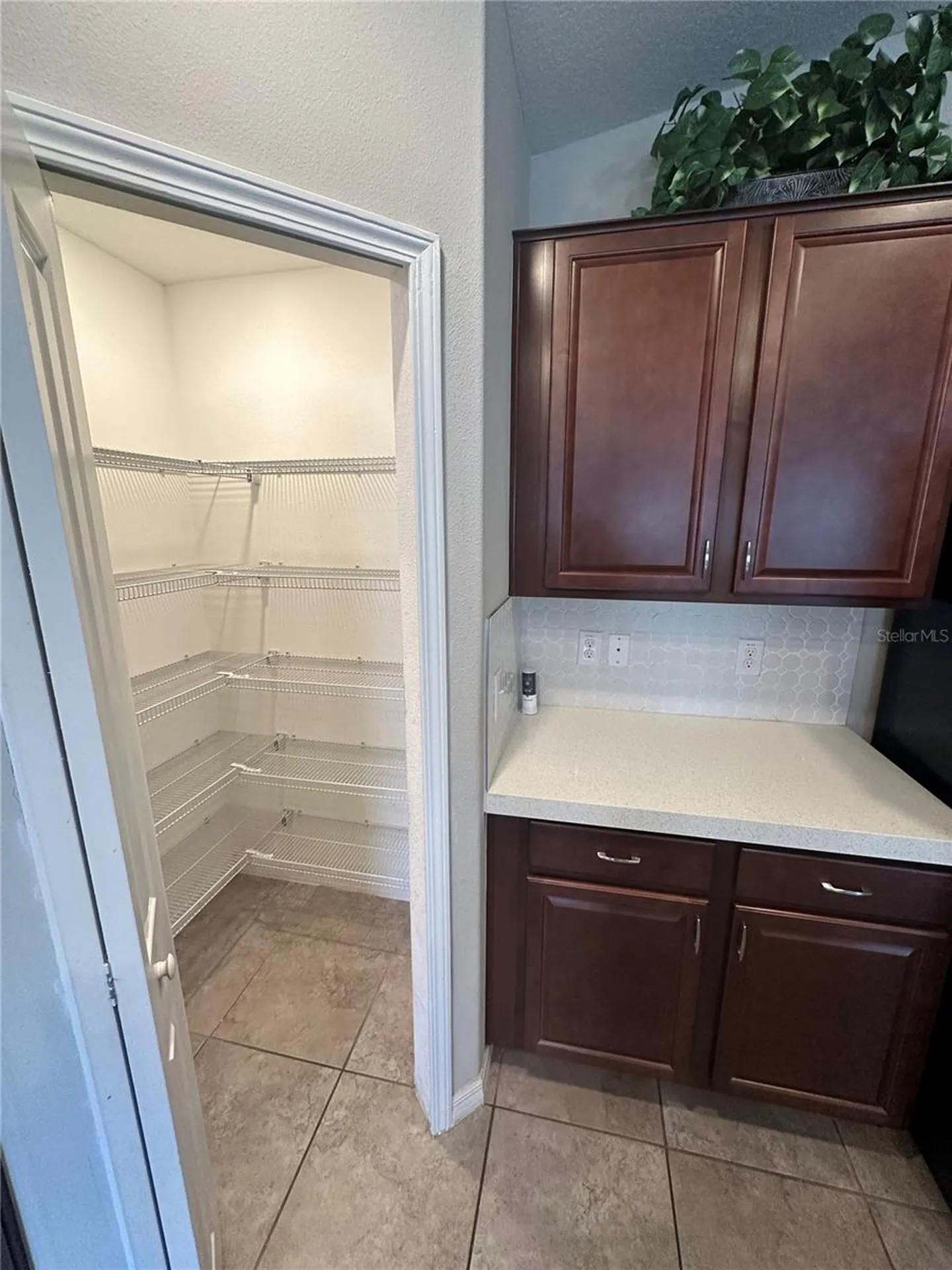 903 Zone Tailed Hawk Place Ruskin FL 33570