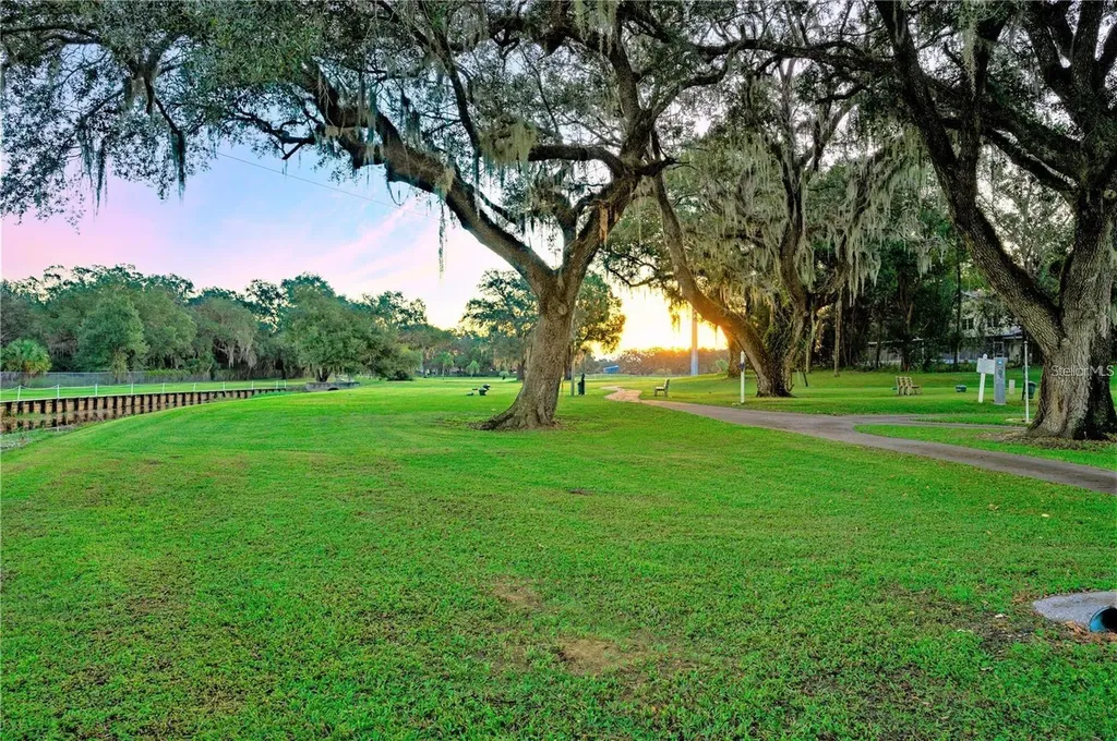 36650 Dina Drive Zephyrhills FL 33542