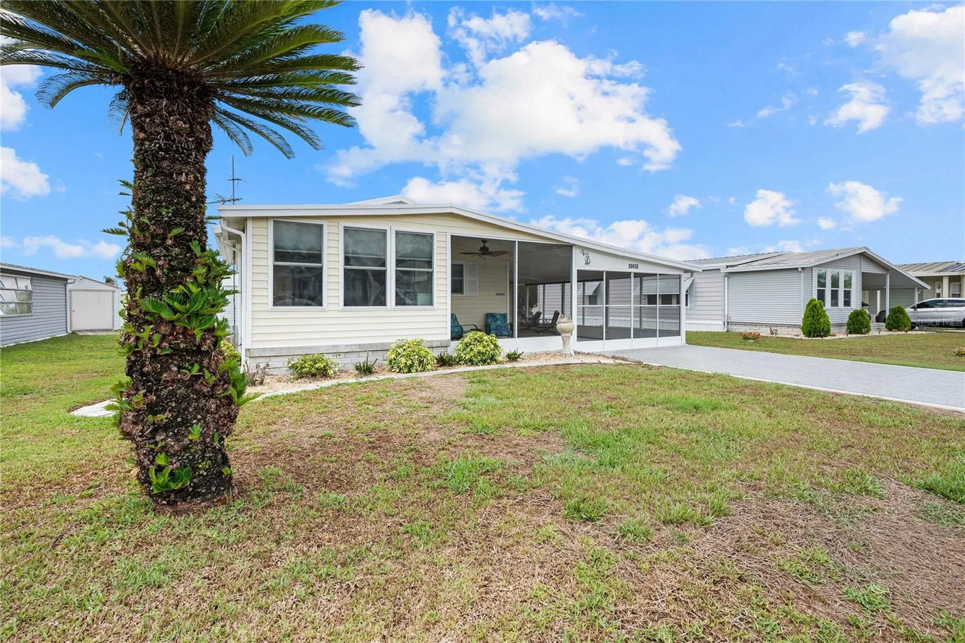 36650 Dina Drive Zephyrhills FL 33542