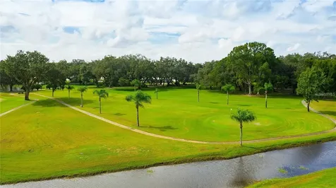 36650 Dina Drive Zephyrhills FL 33542