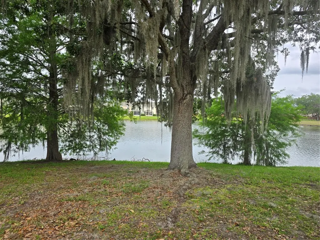 2351 Water View Loop Kissimmee FL 34743