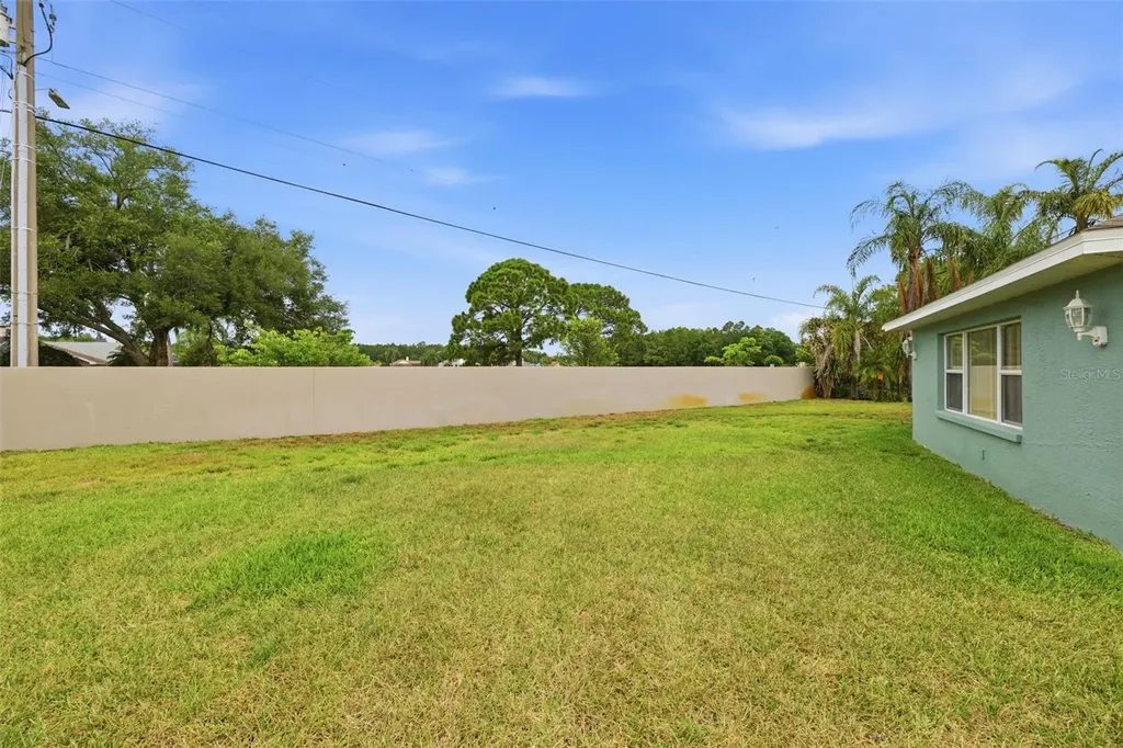 1125 Daleside Lane New Port Richey FL 34655