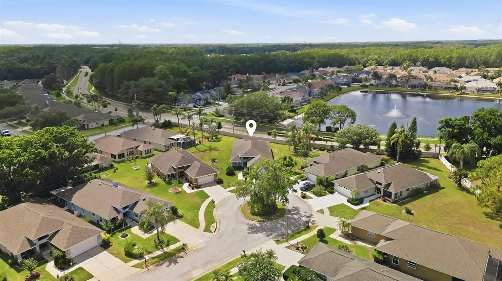 1125 Daleside Lane New Port Richey FL 34655