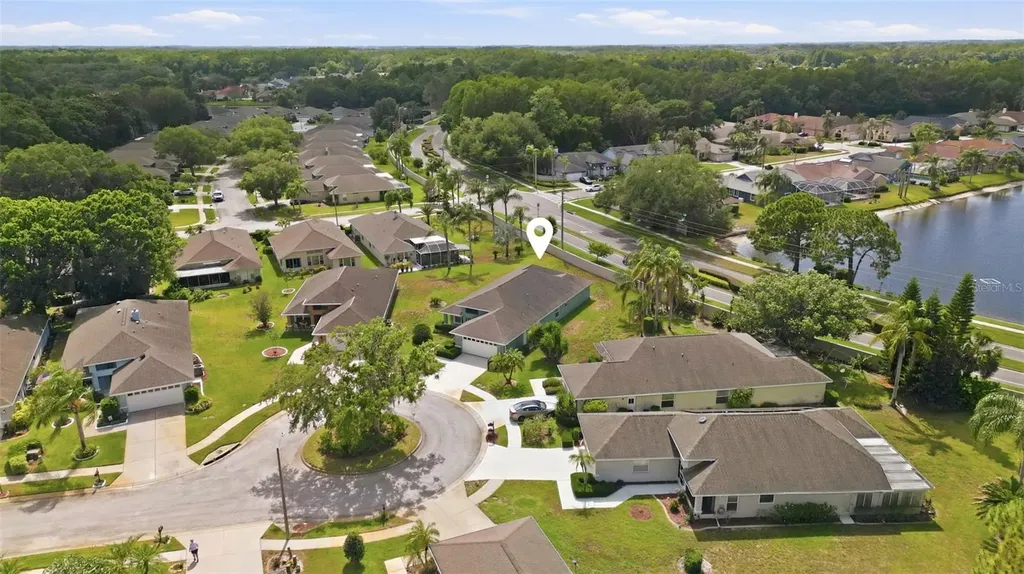 1125 Daleside Lane New Port Richey FL 34655