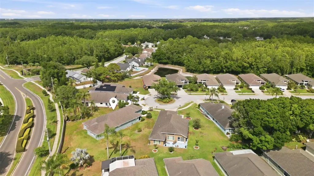 1125 Daleside Lane New Port Richey FL 34655