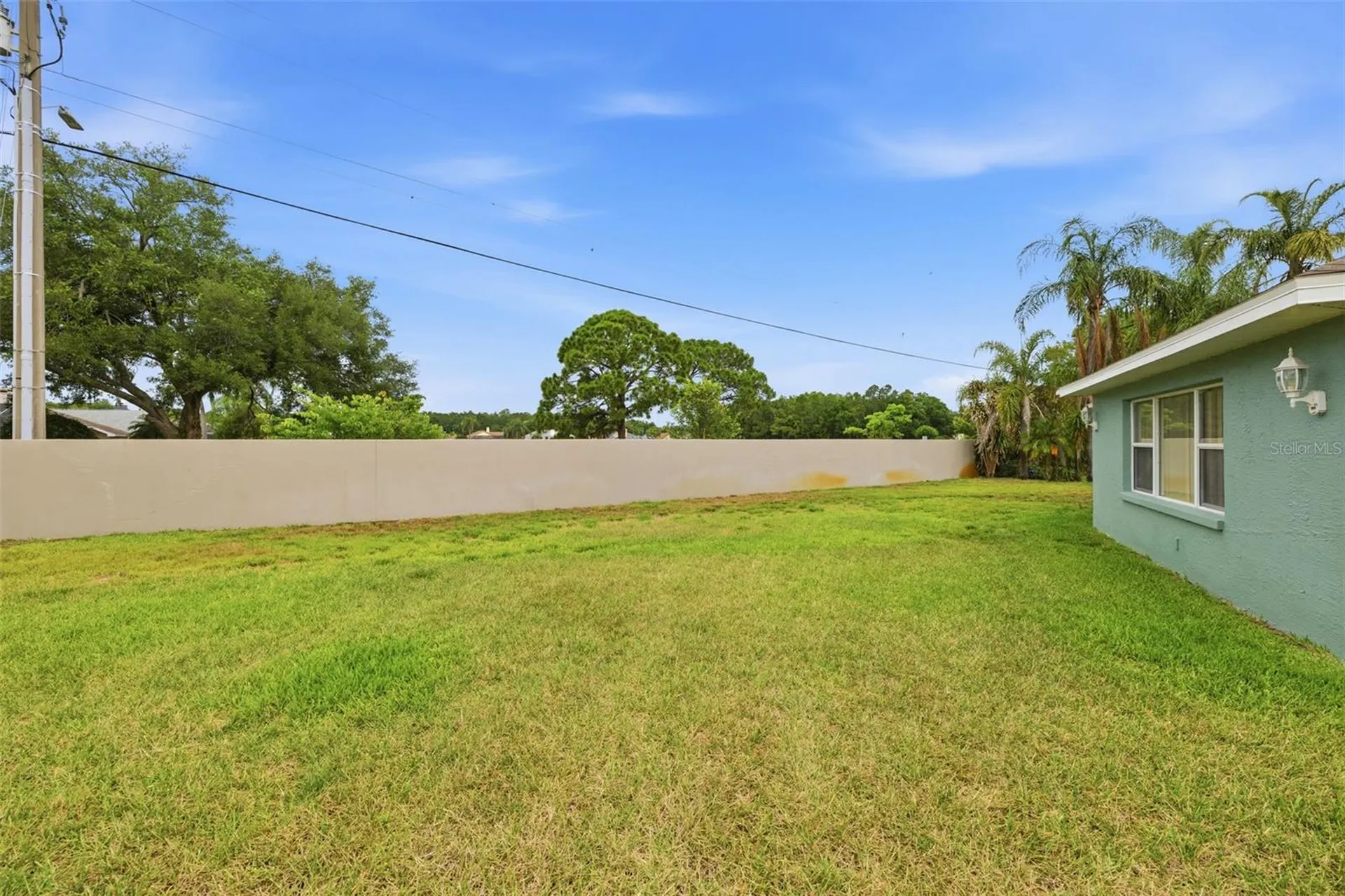 1125 Daleside Lane New Port Richey FL 34655