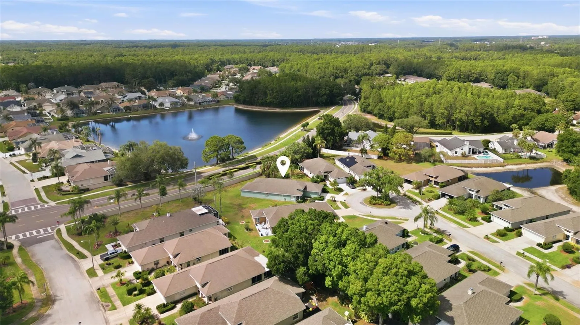 1125 Daleside Lane New Port Richey FL 34655