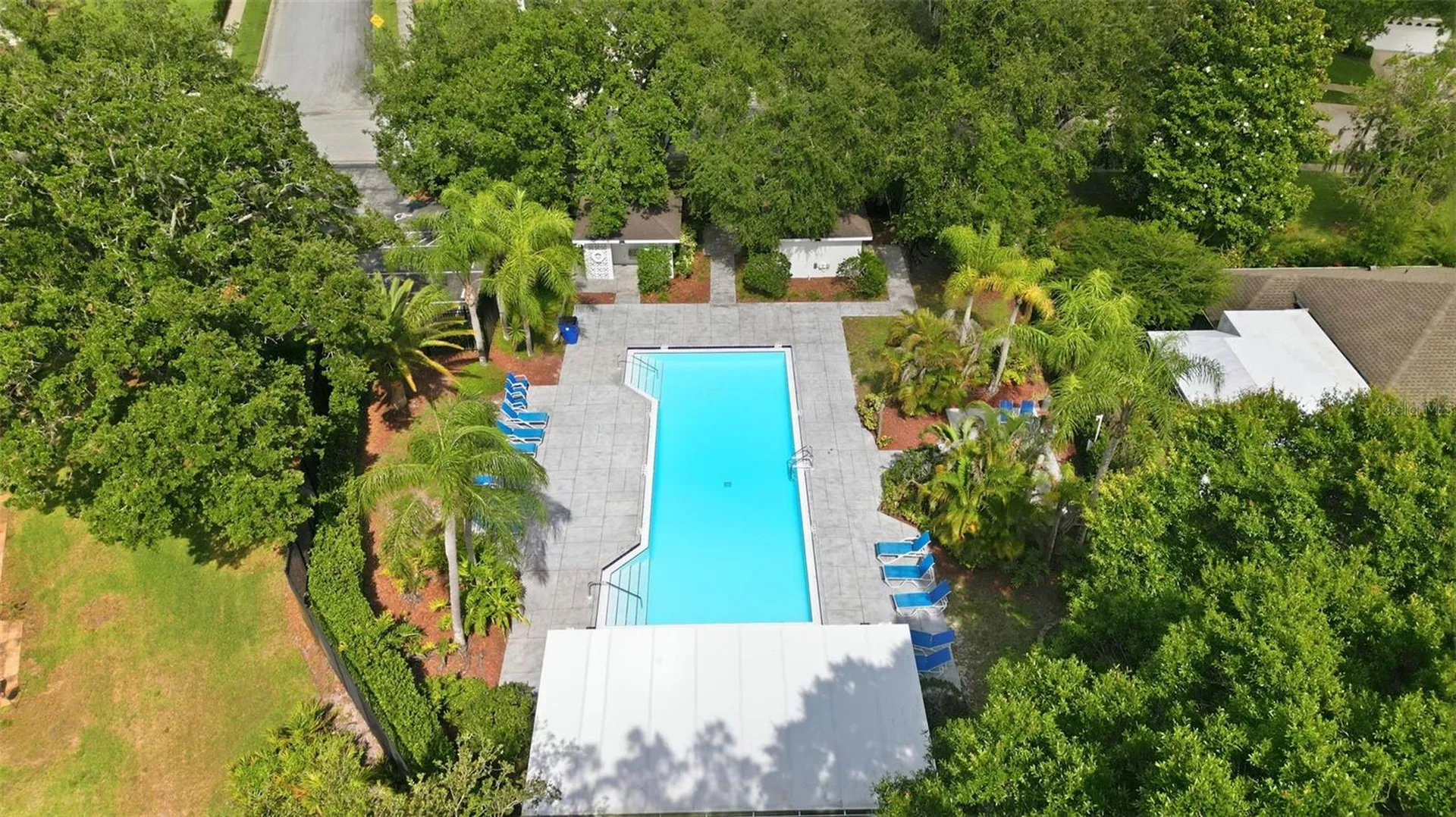 1125 Daleside Lane New Port Richey FL 34655