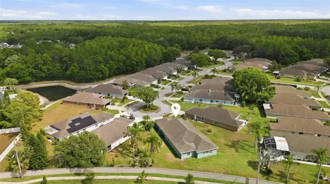 1125 Daleside Lane New Port Richey FL 34655