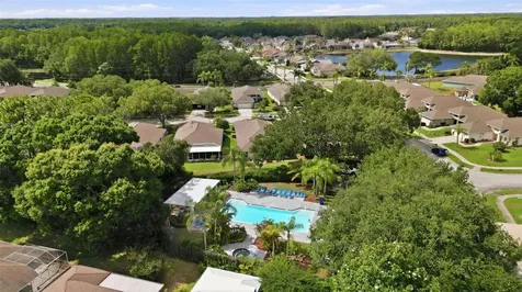 1125 Daleside Lane New Port Richey FL 34655