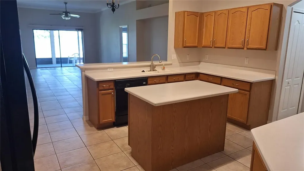 1803 Lake Villa Drive Tavares FL 32778