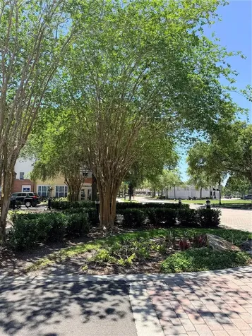 1406 Blumberg Boulevard Winter Springs FL 32708