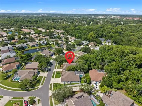 4761 Stonebriar Drive Oldsmar FL 34677