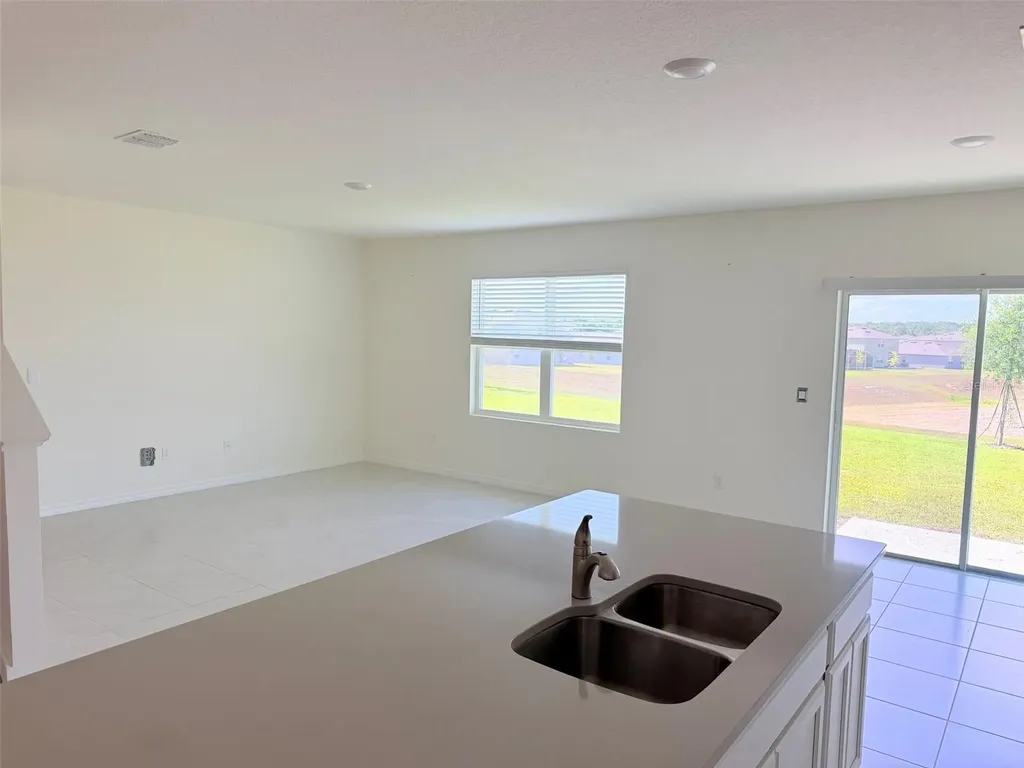 1313 Calmito Drive Mount Dora FL 32757