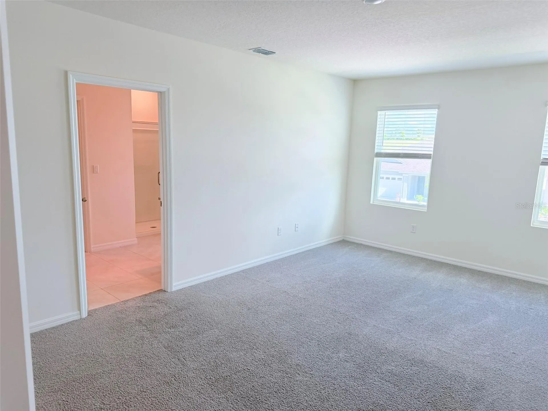 1313 Calmito Drive Mount Dora FL 32757