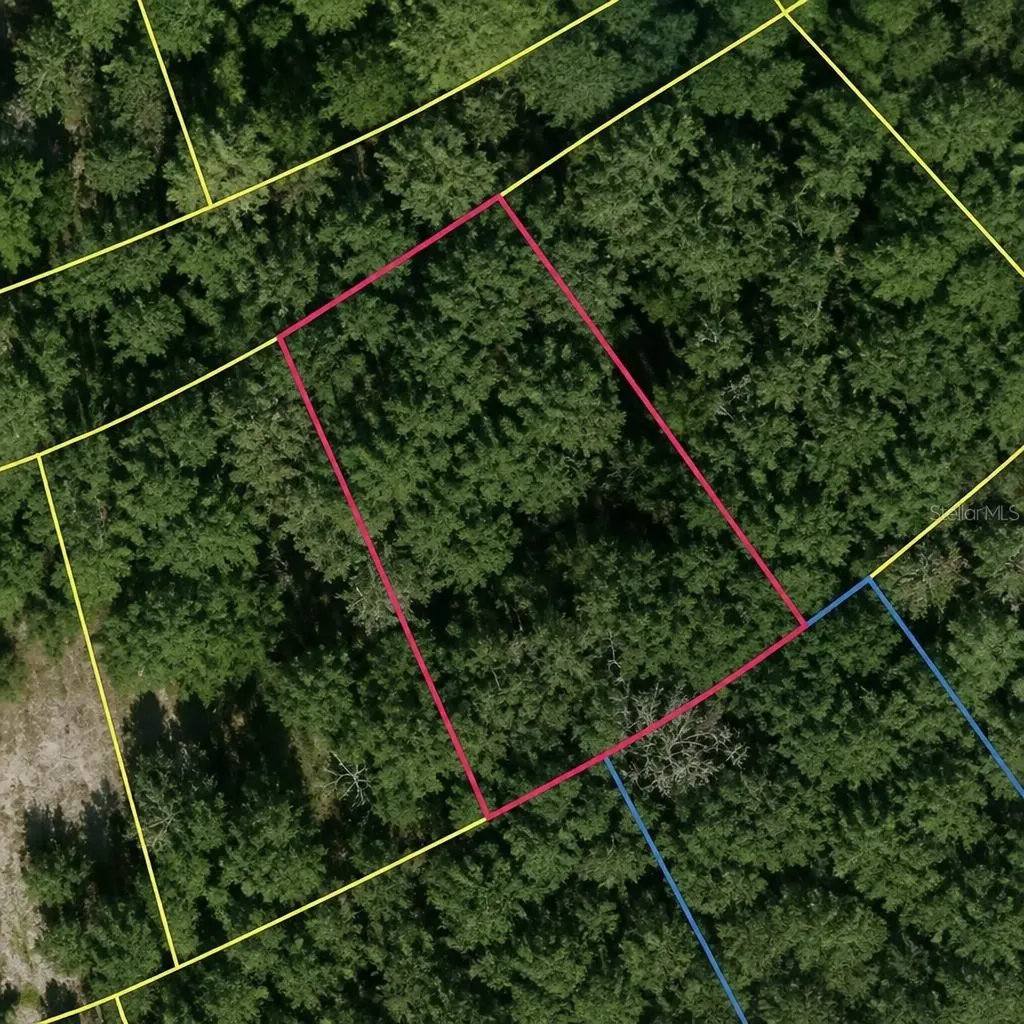 SE Fischer Lane Drive Ocklawaha FL 32179