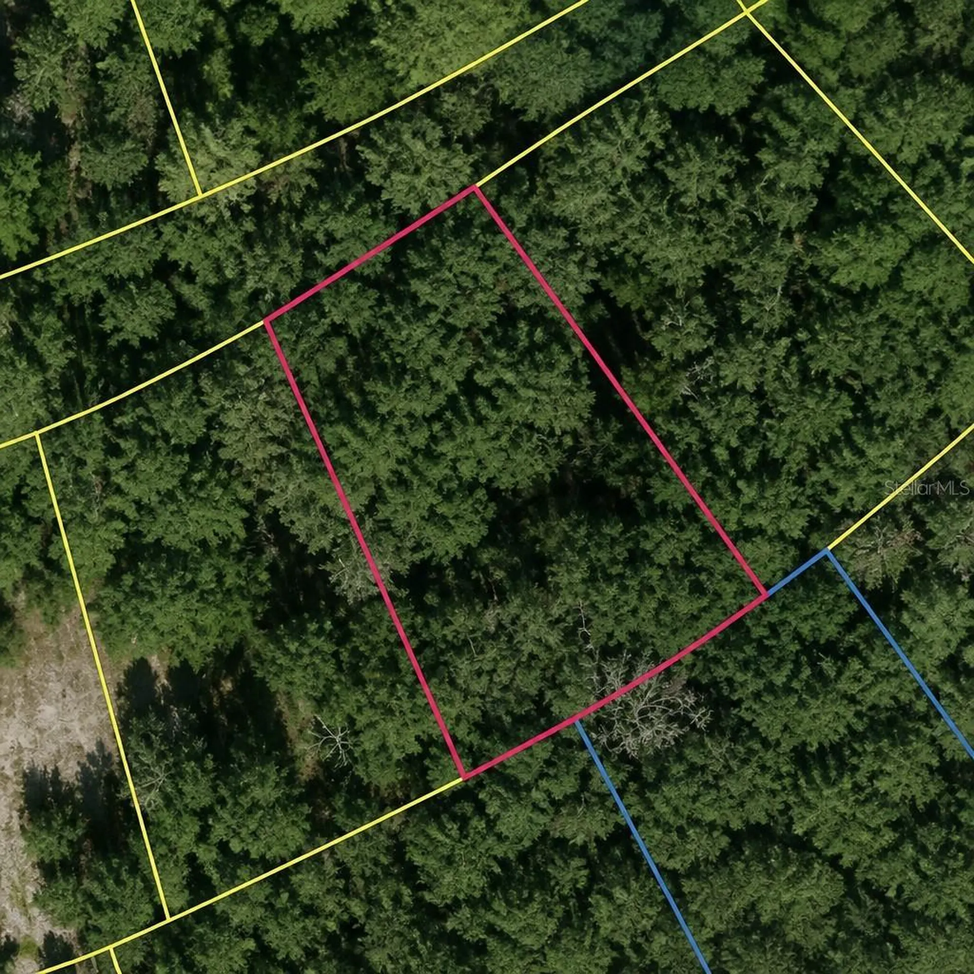 SE Fischer Lane Drive Ocklawaha FL 32179