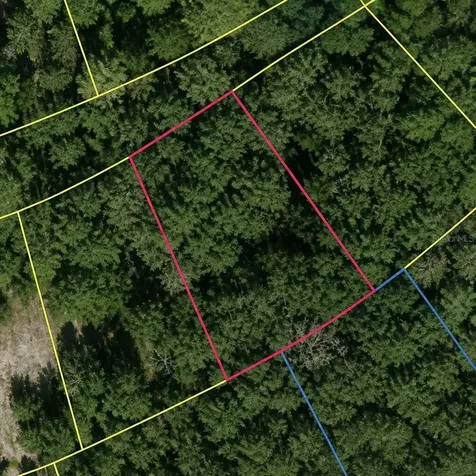 SE Fischer Lane Drive Ocklawaha FL 32179