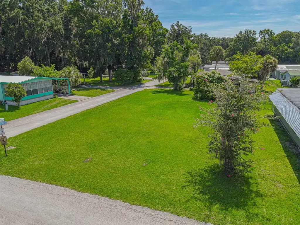 Lot 45 Canal Court Lake Panasoffkee FL 33538