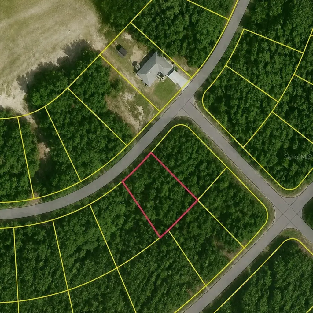 SE Fischer Lane Drive Ocklawaha FL 32179