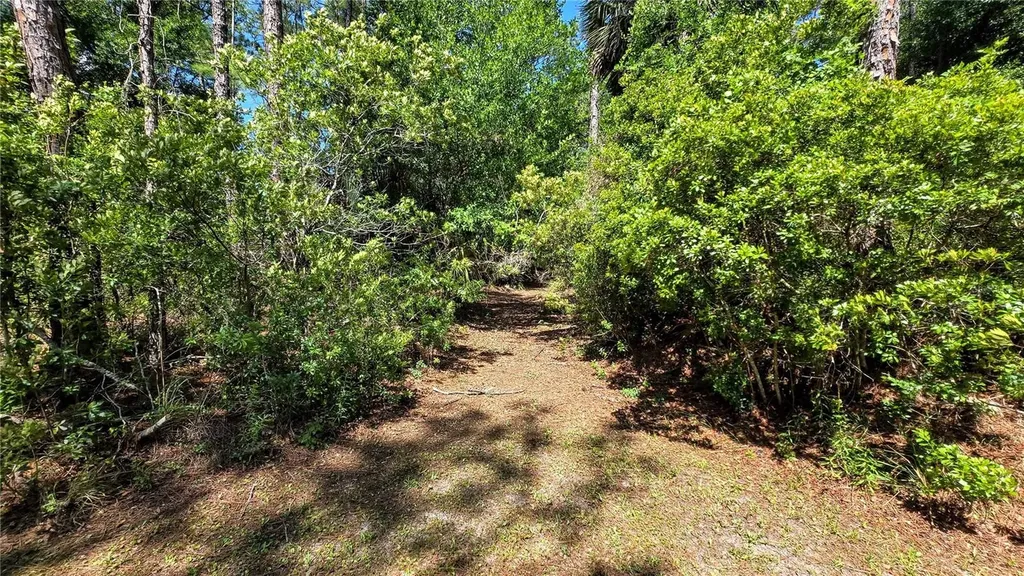 7629 Westpoint Drive Wesley Chapel FL 33544