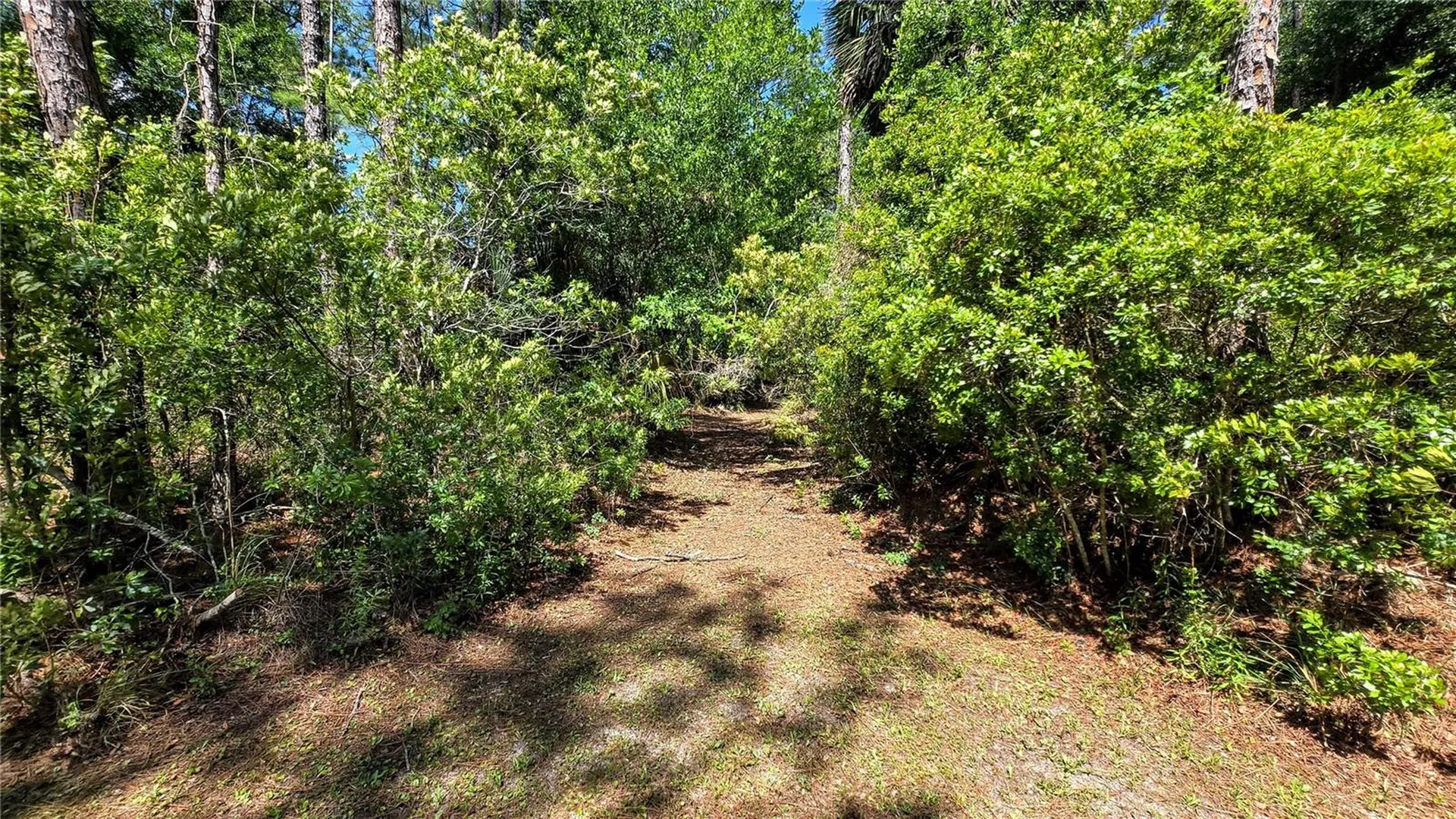 7629 Westpoint Drive Wesley Chapel FL 33544