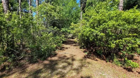 7629 Westpoint Drive Wesley Chapel FL 33544