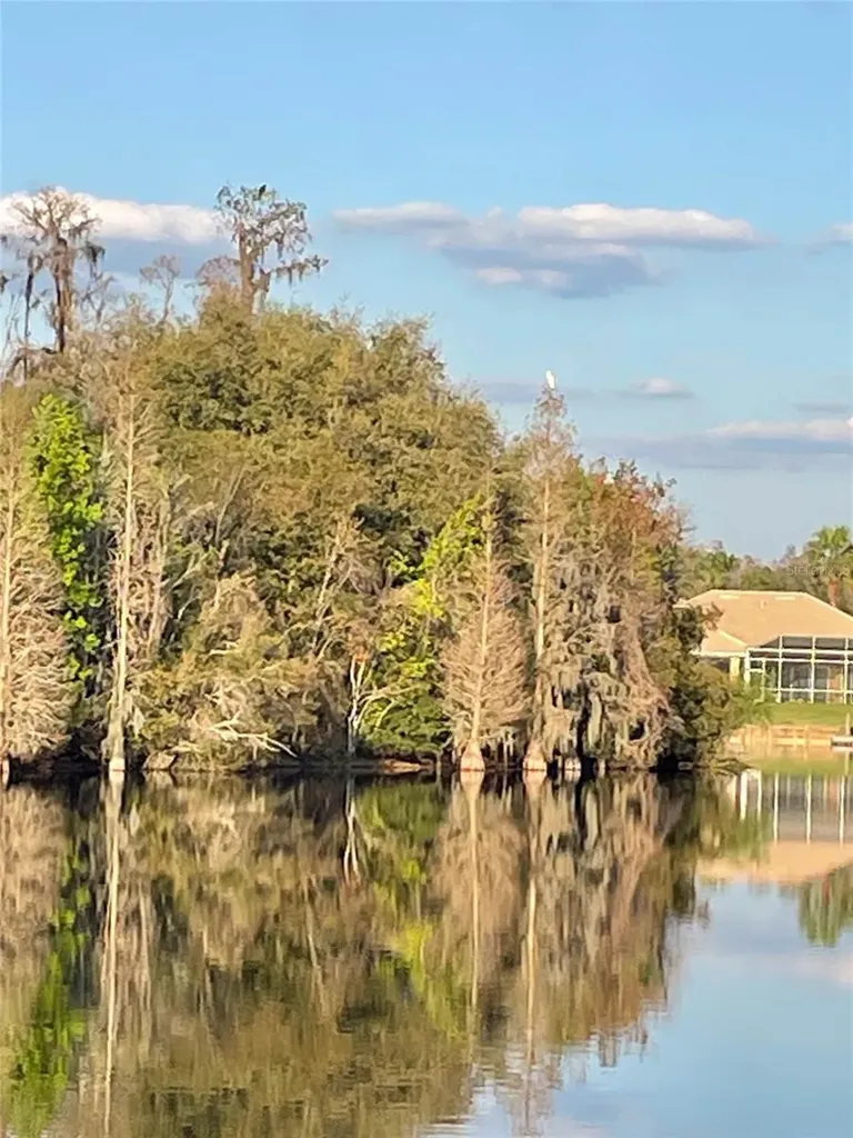 10717 Cory Lake Drive Tampa FL 33647
