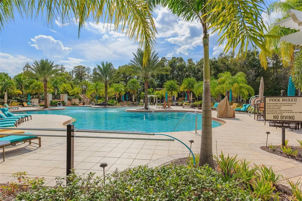 10717 Cory Lake Drive Tampa FL 33647