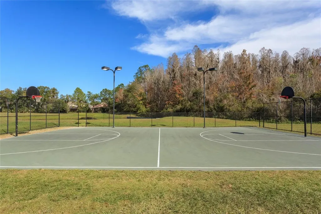 10717 Cory Lake Drive Tampa FL 33647