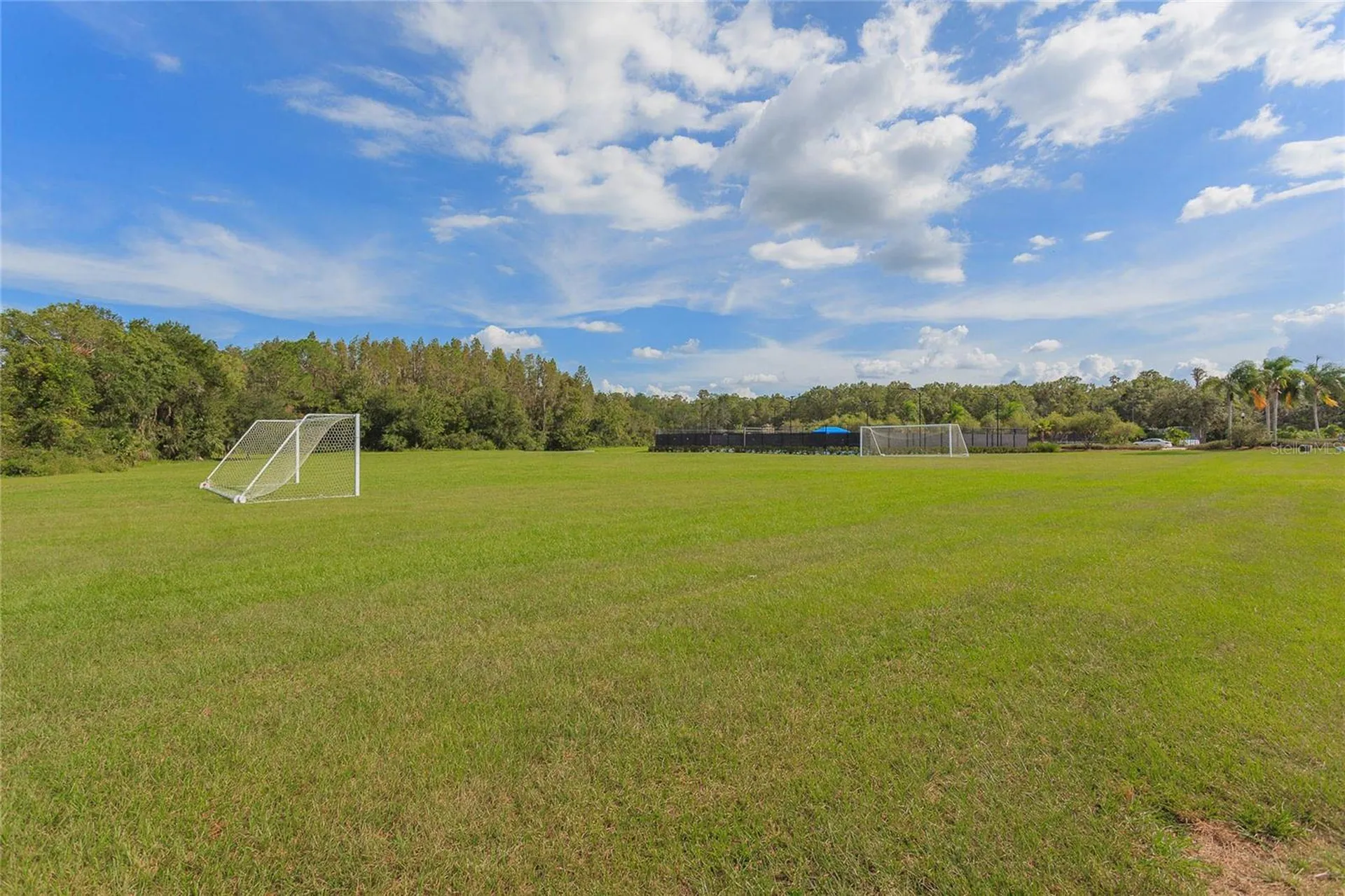 10717 Cory Lake Drive Tampa FL 33647