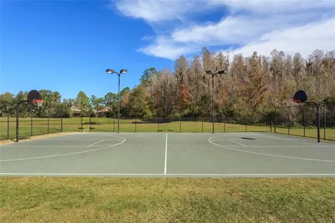 10717 Cory Lake Drive Tampa FL 33647