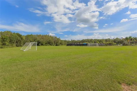10717 Cory Lake Drive Tampa FL 33647