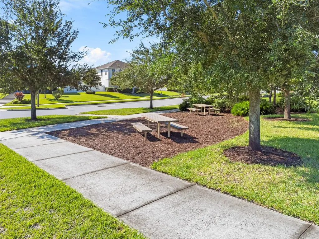 15591 Honeybell Drive Winter Garden FL 34787