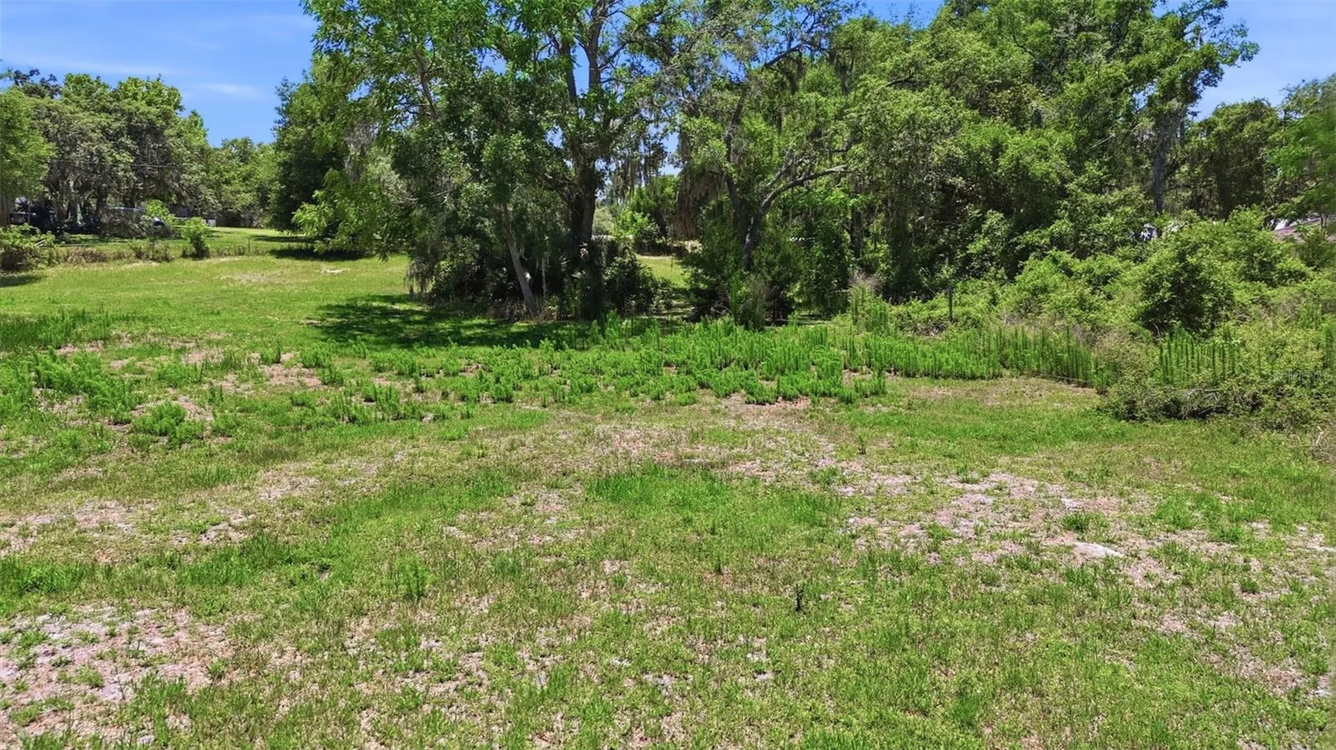 3915 S Spaniel Trail Inverness FL 34450