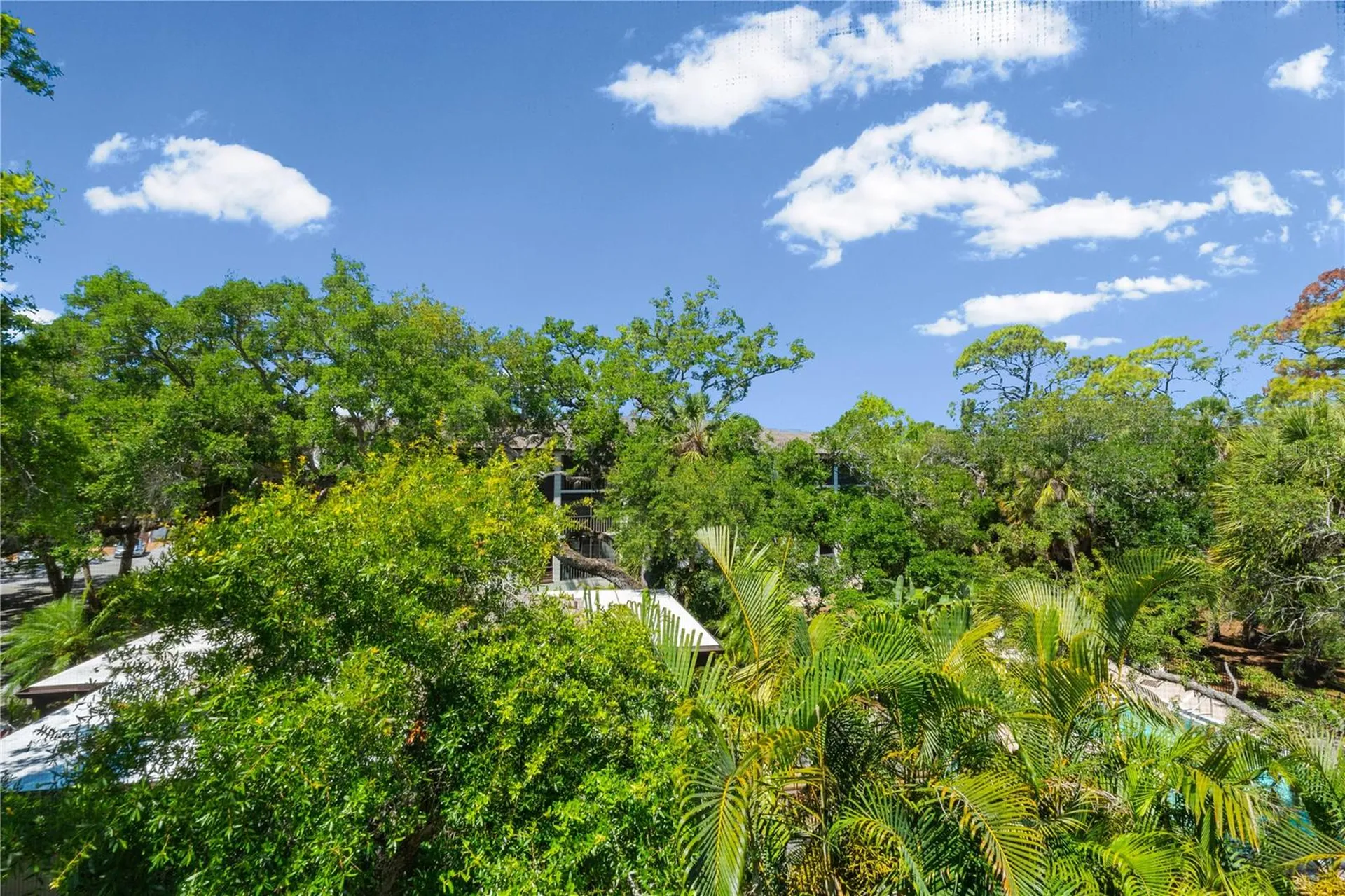 2746 Orchid Oaks Drive Sarasota FL 34239